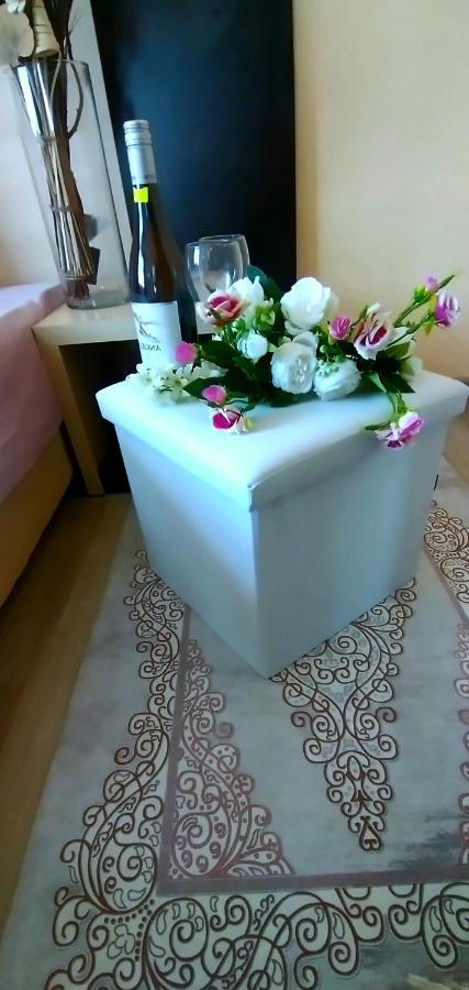 Rose & Water Guest House Pavel Banya Εξωτερικό φωτογραφία