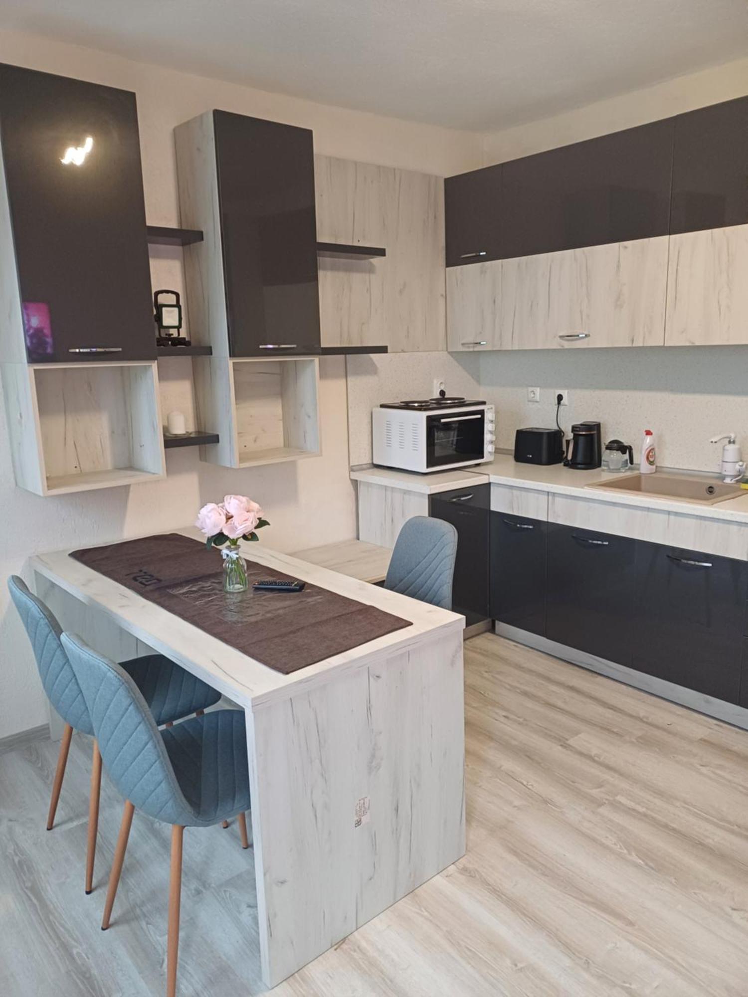 Rose & Water Guest House Pavel Banya Εξωτερικό φωτογραφία